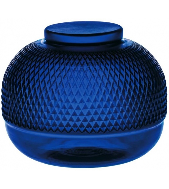 Camellia Vista Alegre Behälter