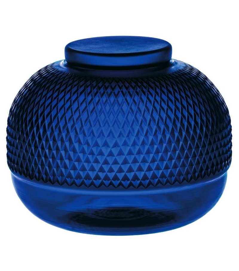 Camellia Vista Alegre Contenitore