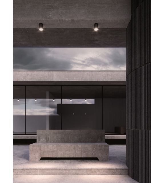 Lux Surface Nemo Ceiling Lamp