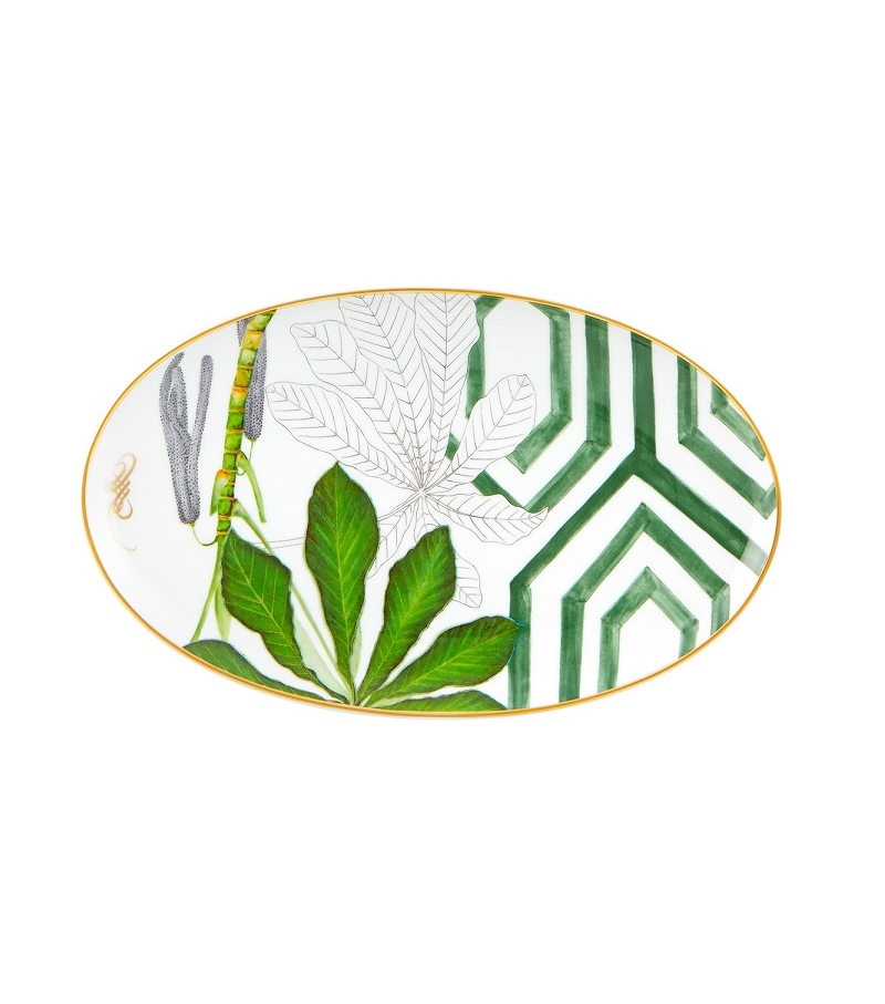 Amazōnia Vista Alegre Plateau