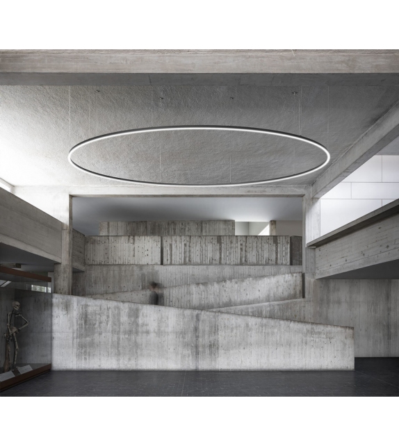 Zirkol Circular Nemo Pendant Lamp