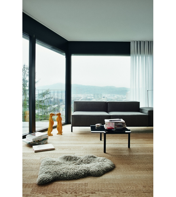 DS21/91 De Sede Coffee Table