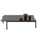 DS-22 De Sede Coffee Table