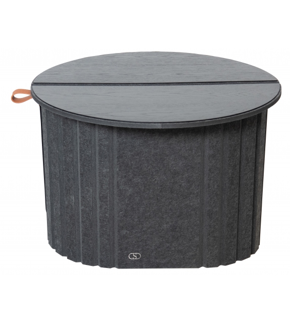 DS-5010 De Sede Table Basse