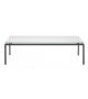 DS-9075 De Sede Coffee Table