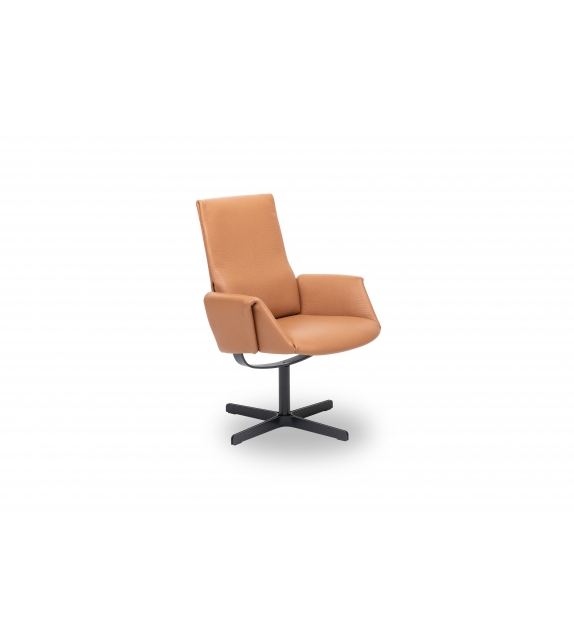 DS-343 De Sede Sessel