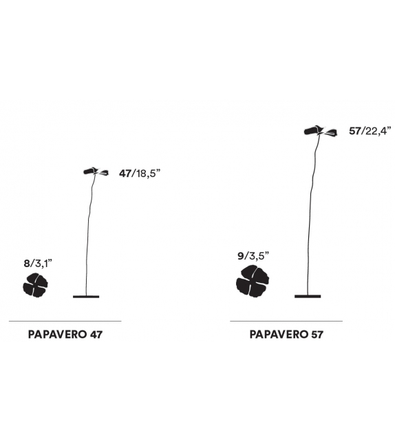 Papavero Delicato Opinion Ciatti Decorazione da Tavolo