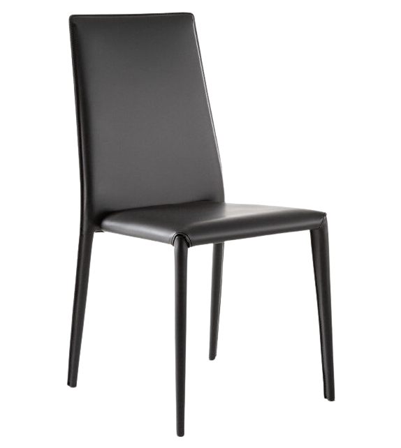 Eral Bonaldo Chair