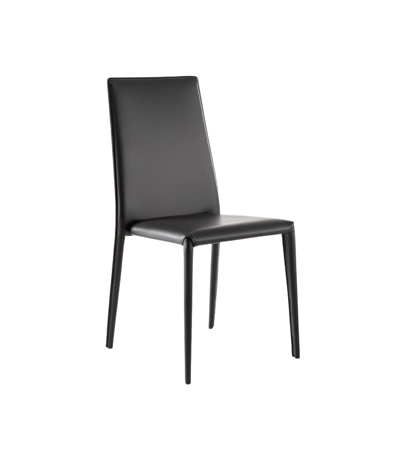 Eral Bonaldo Chair