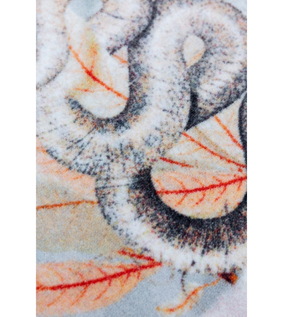 Memento Moooi Alfombra