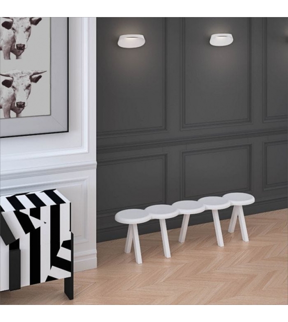 Millepiedi Driade Banco