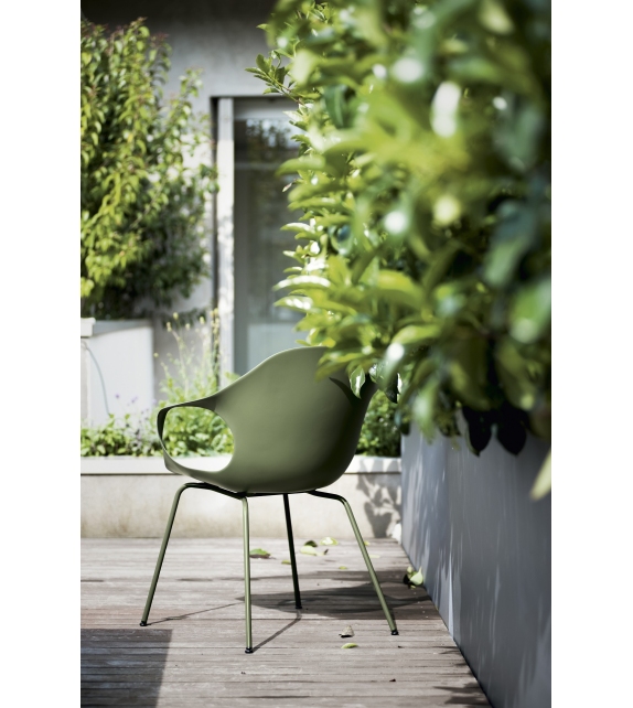 Elephant. poltroncina su gambe