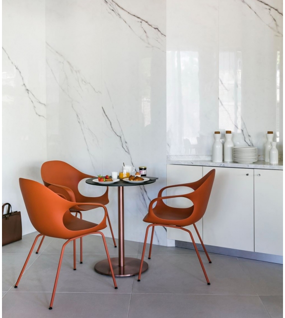 Elephant. poltroncina su gambe