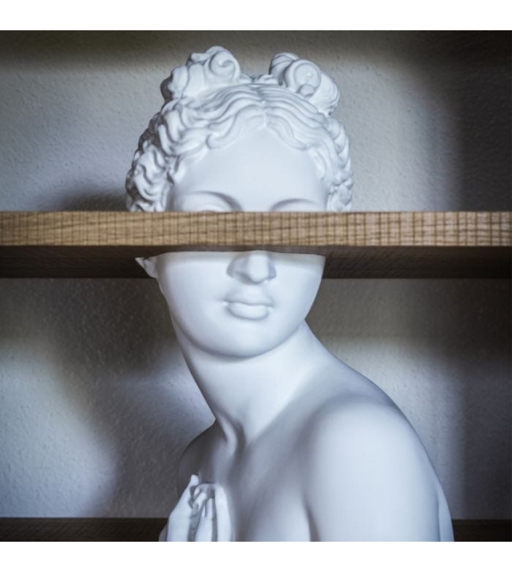 Venus Driade Bücherregal