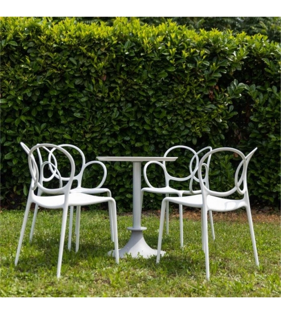 Lord YI Table Driade