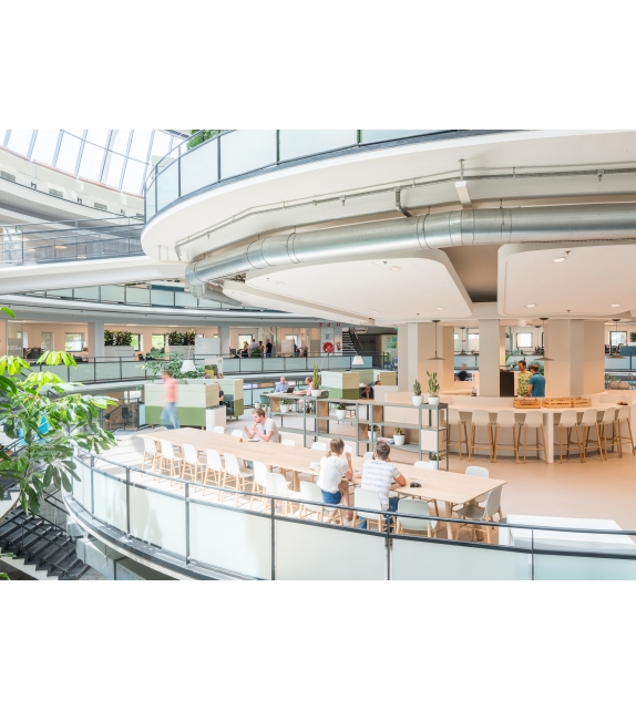 Sharky Kristalia Chair