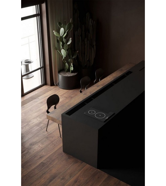 Pikaia Kristalia Silla