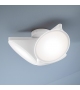 Orchid Axo Light Ceiling Lamp