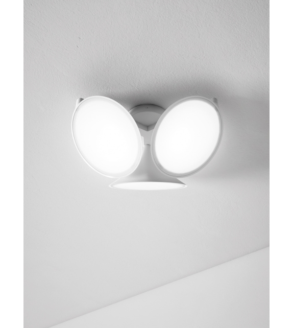 Orchid Axo Light Ceiling Lamp