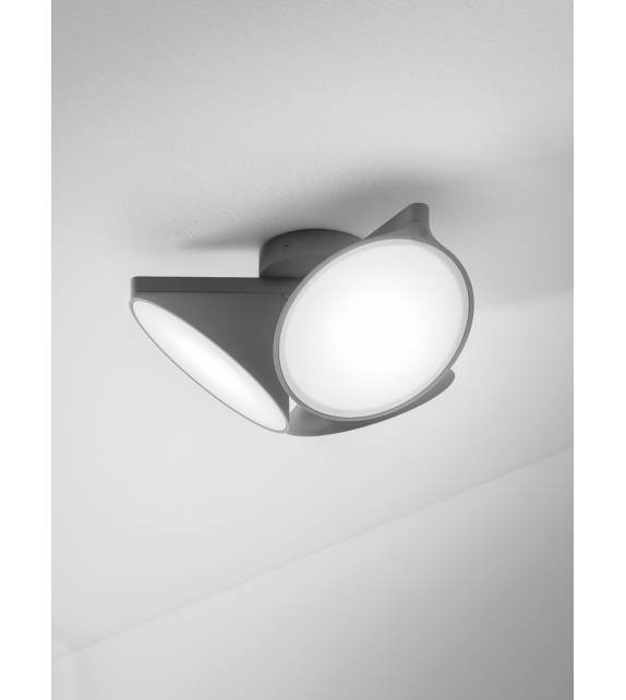 Orchid Axo Light Ceiling Lamp