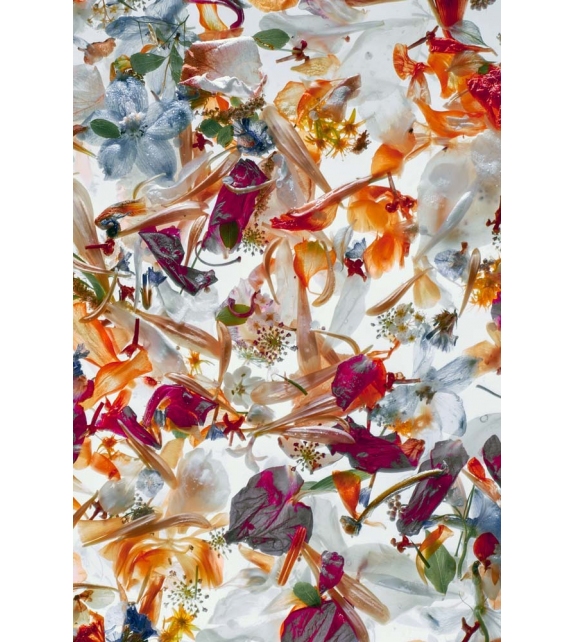 TC-005 Momenti Decorative Panel