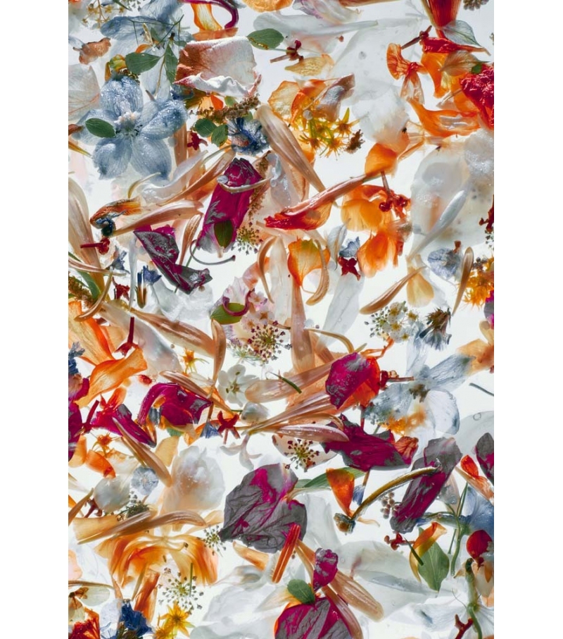 TC-005 Momenti Pannello Decorativo