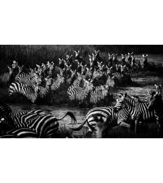 RA-004 Momenti Deckorative Platte