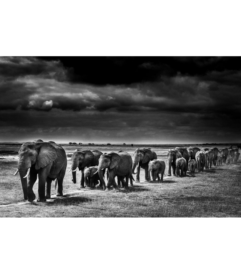 RA-004 Momenti Pannello Decorativo