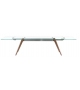 Delta Pianca Table Extensible