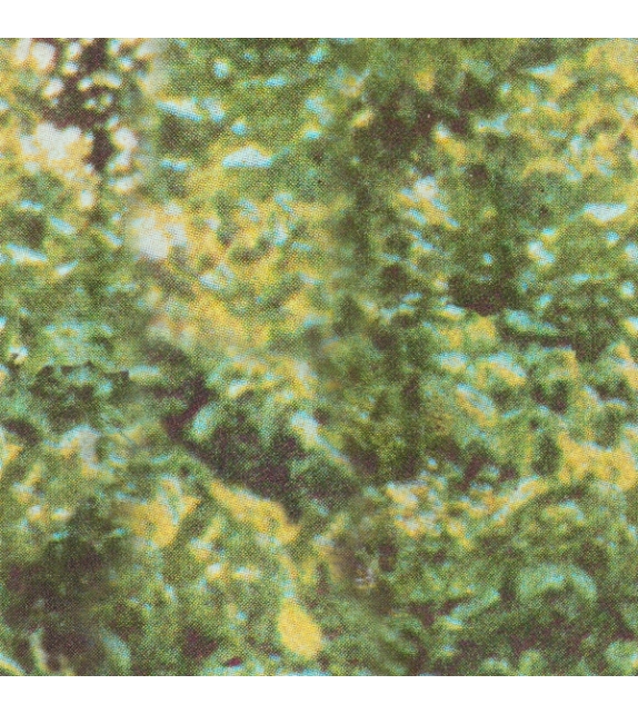 Forest Camo Wall&Decò Carta da Parati