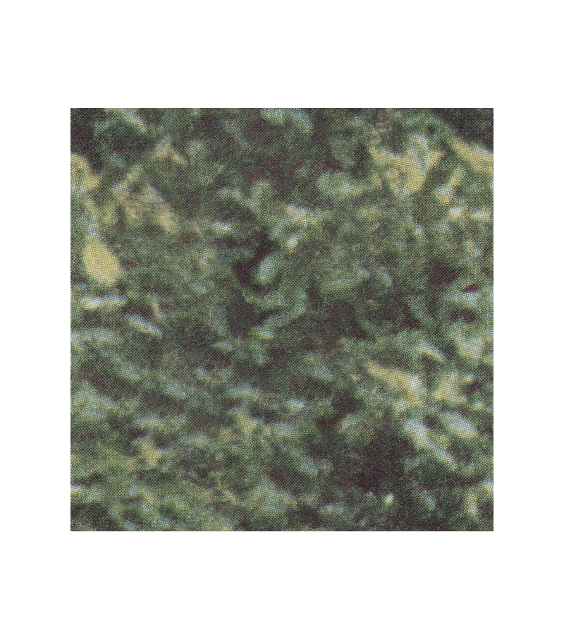 Forest Camo Wall&Decò Empapelado