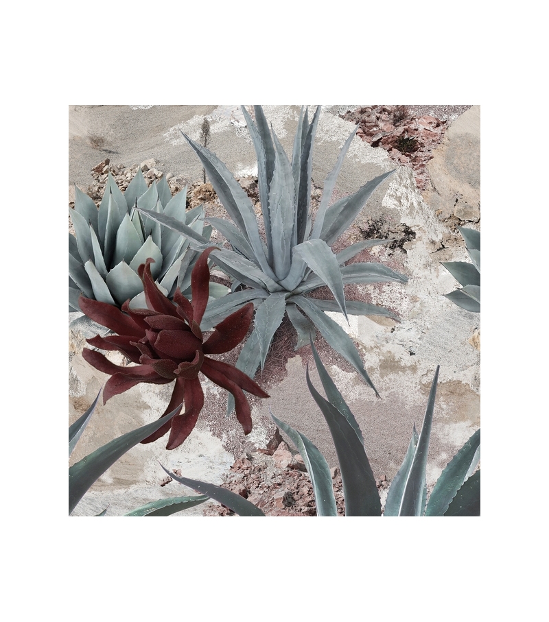 Desert Flowers Wall&Decò Papier Peint
