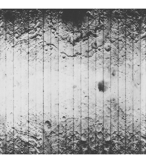 Natural Orgy Wall&Decò Wallpaper