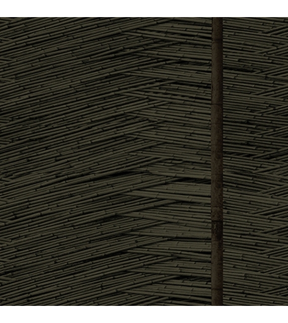 Phytogenesis TS Wall&Decò Tapete