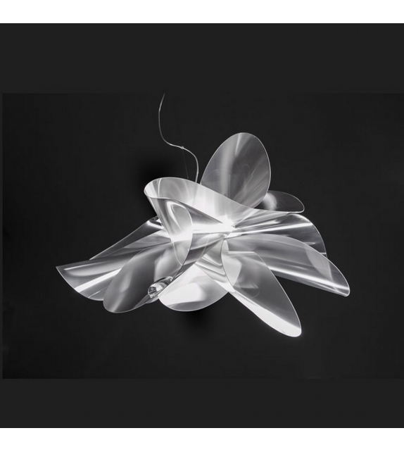 Etoile Slamp Suspension