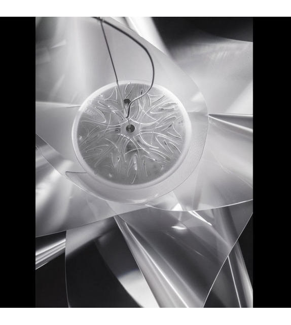 Etoile Slamp Suspension