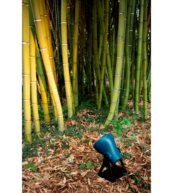 Frog Martinelli Luce Lámpara de Pie/Pared