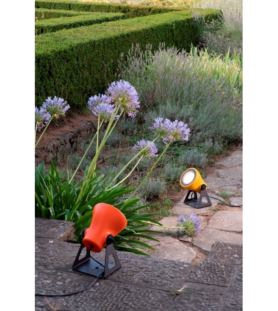 Frog Martinelli Luce Floor/Wall Lamp