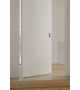 V Pivot Door Viva