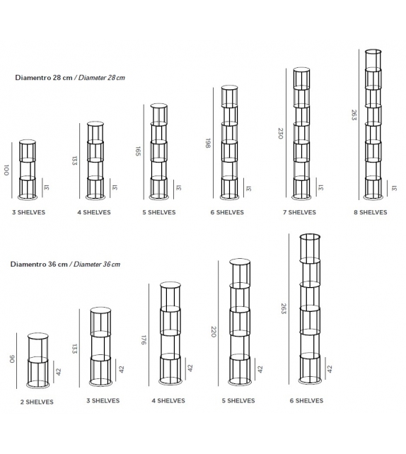 Babele DeCastelli Bookshelf