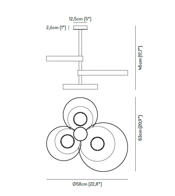 Circle Venicem Ceiling