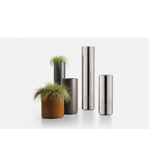 Cohiba Vase DeCastelli