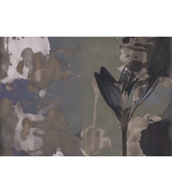 Aurora CWC Wall&Decò Carta da Parati