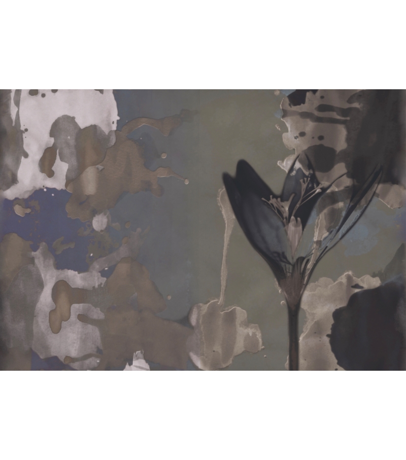 Aurora CWC Wall&Decò Papier Peint