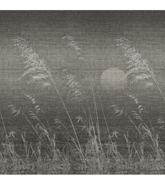 Elisir CWC Wall&Decò Carta da Parati