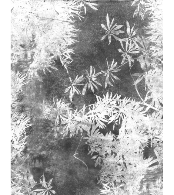 Via Col Vento CWC Wall&Decò Wallpaper