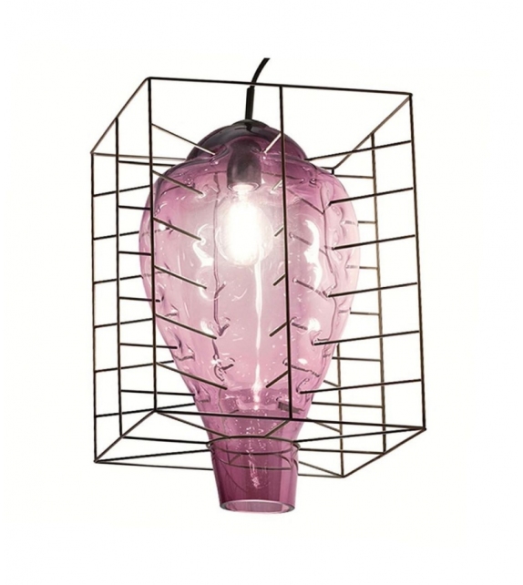 Attimo Fisionarte Pendat Lamp