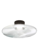 Desideria Fisionarte Wall/Ceiling Lamp