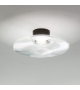 Desideria Fisionarte Wall/Ceiling Lamp