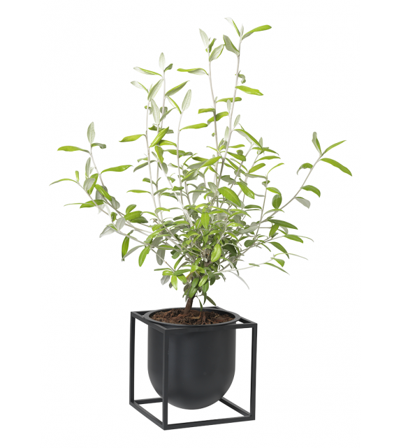 Kubus Vase By Lassen